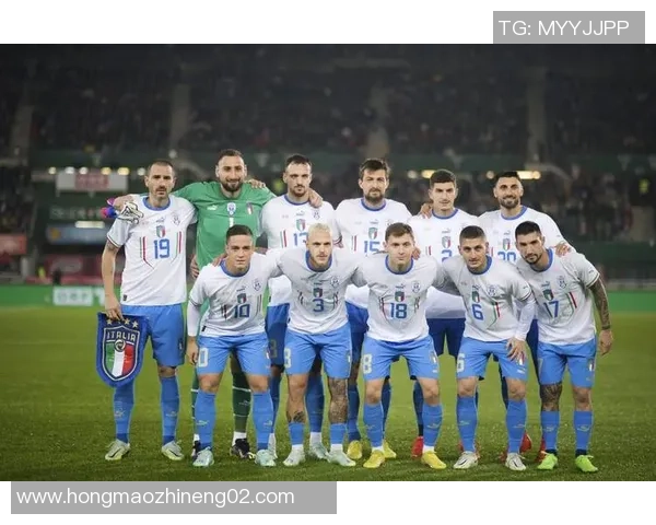 波黑足球明星的崛起与成就探讨